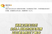 娱乐吃瓜经纪公司,吃瓜群众背后的经纪公司风云录
